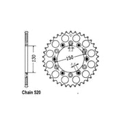JT Sprockets Rear Sprocket 245/251.41