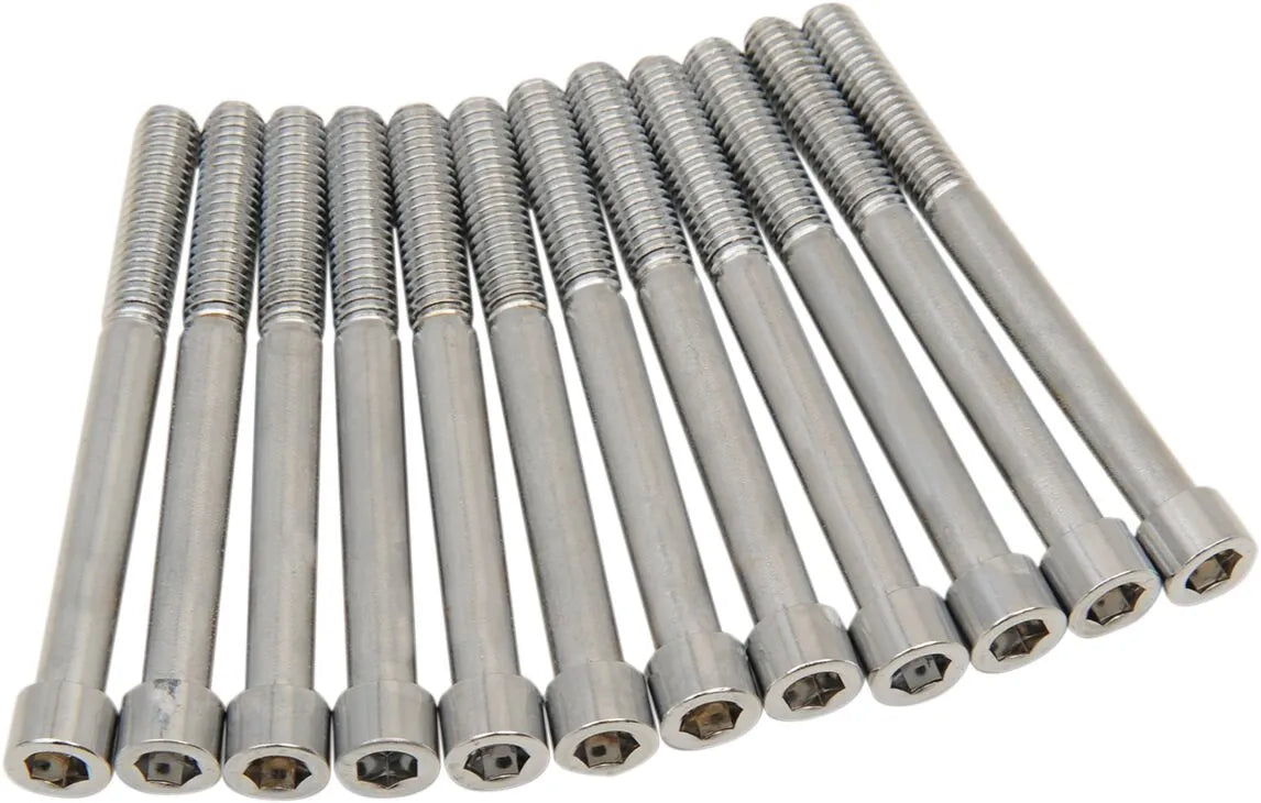 Drag Specialties M8 Crankcase Bolt Kit Chrome for HD 2017-2024