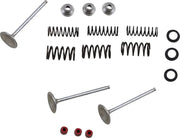 Moose Offroad Intake Valve And Spring Kit