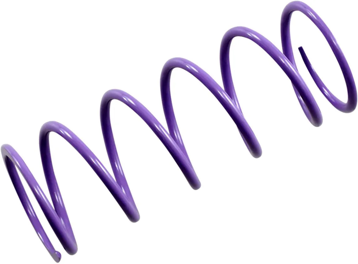 Epi Primary Clutch Spring