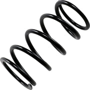 Epi Ps4 Primary Clutch Spring