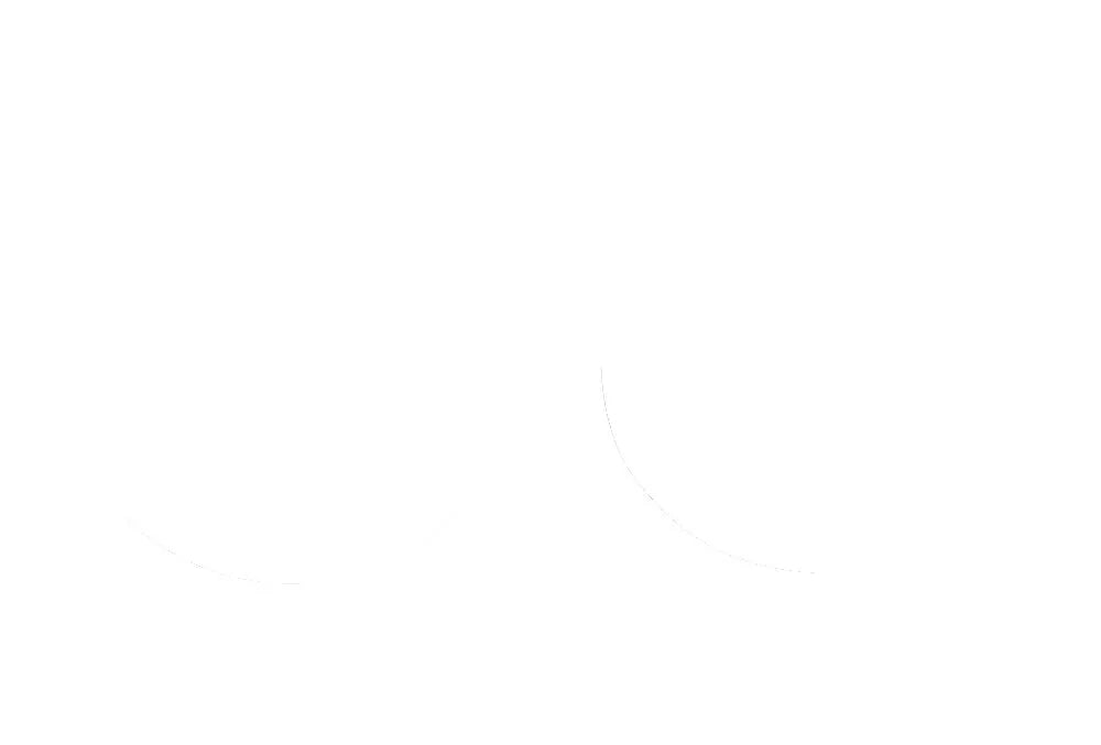 Athena Fork Oil Seals Replacement Pair