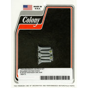 Colony bolt set transmission side cover - Zinc