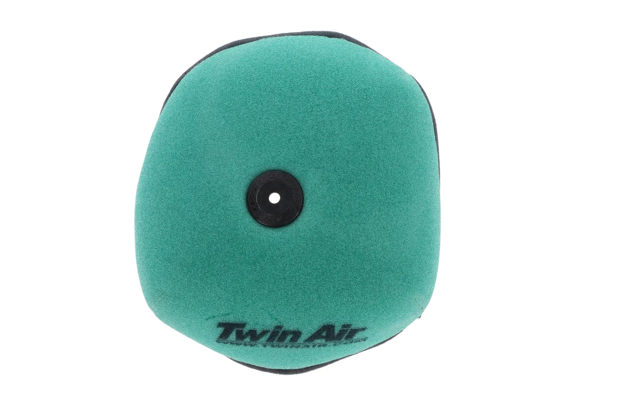 Twin Air Air Filter