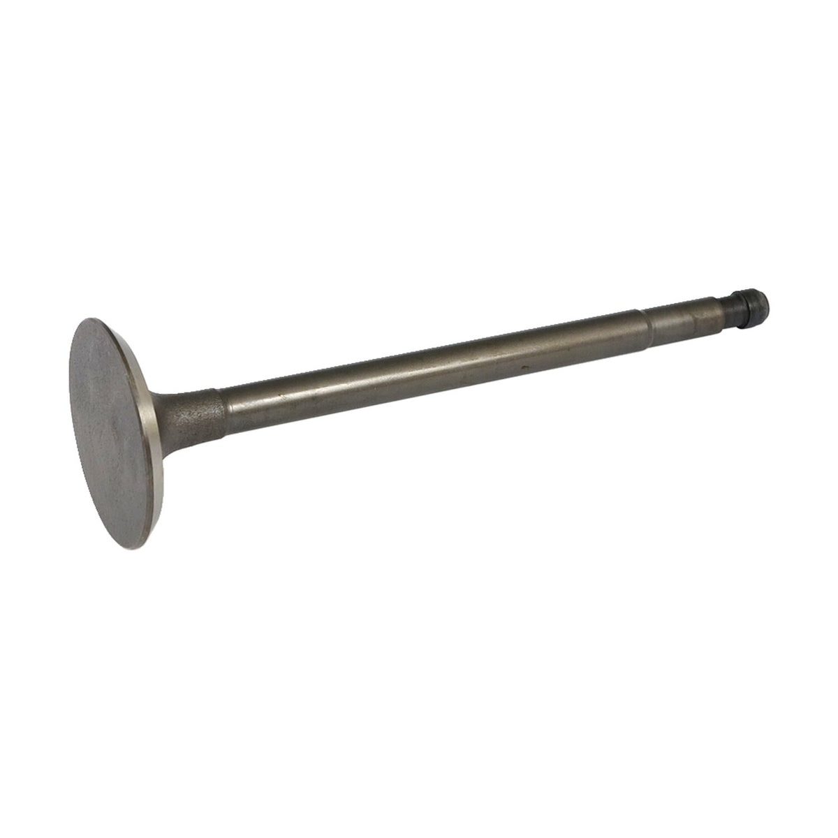 Samwel Flathead exhaust valve stainless