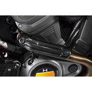 Zard Pan America carbon heat shield