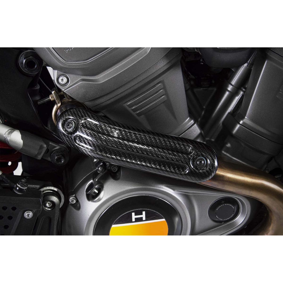 Zard Pan America carbon heat shield