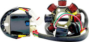 Rick's Motorsport Electric Lithium-ion Charging Kit