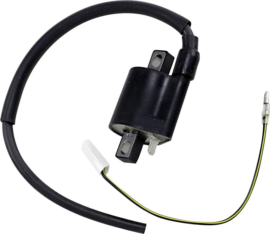 Rick's Motorsport Electric Ignition Coil