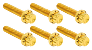 Arlen Ness Transmission Side Cover & Trap Door Titanium 12-POINT Bolt Kits – Hardware