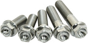 Scar Titanium Screws - M8 X 30 - 4 Pack