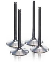 Prox Titanium Exhaust Valve