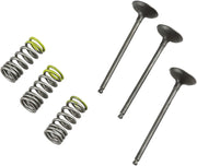 Prox Valve And Spring Kit - Steel Intake Valves