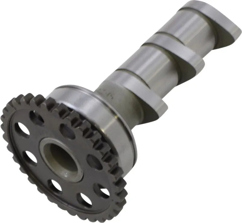 Hot Cams Stage 1 Intake Camshaft