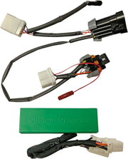 Custom Dynamics Smart Triple Play Module