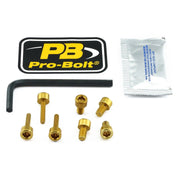 Pro Bolt Aluminum Fuel Cap Kit - Gold