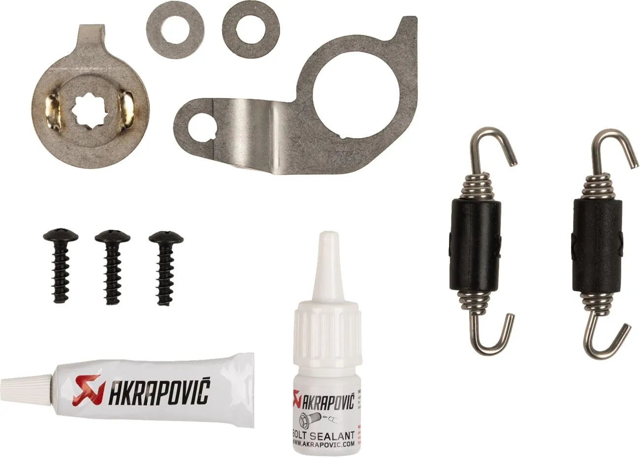 Akrapovic Grenrör För BMW R 1300 GS - Avgasrör