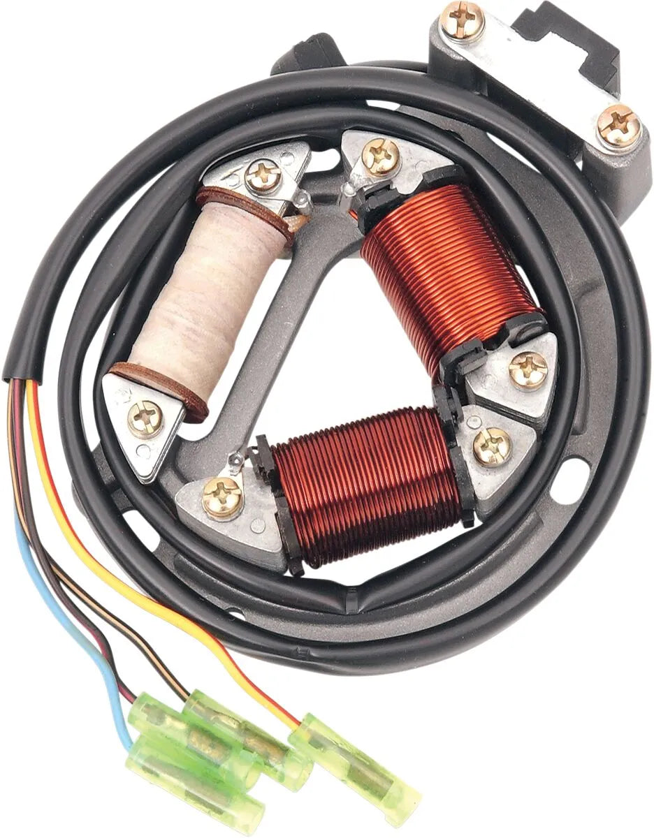 Rick's Motorsport Electric Stator For Suzuki
