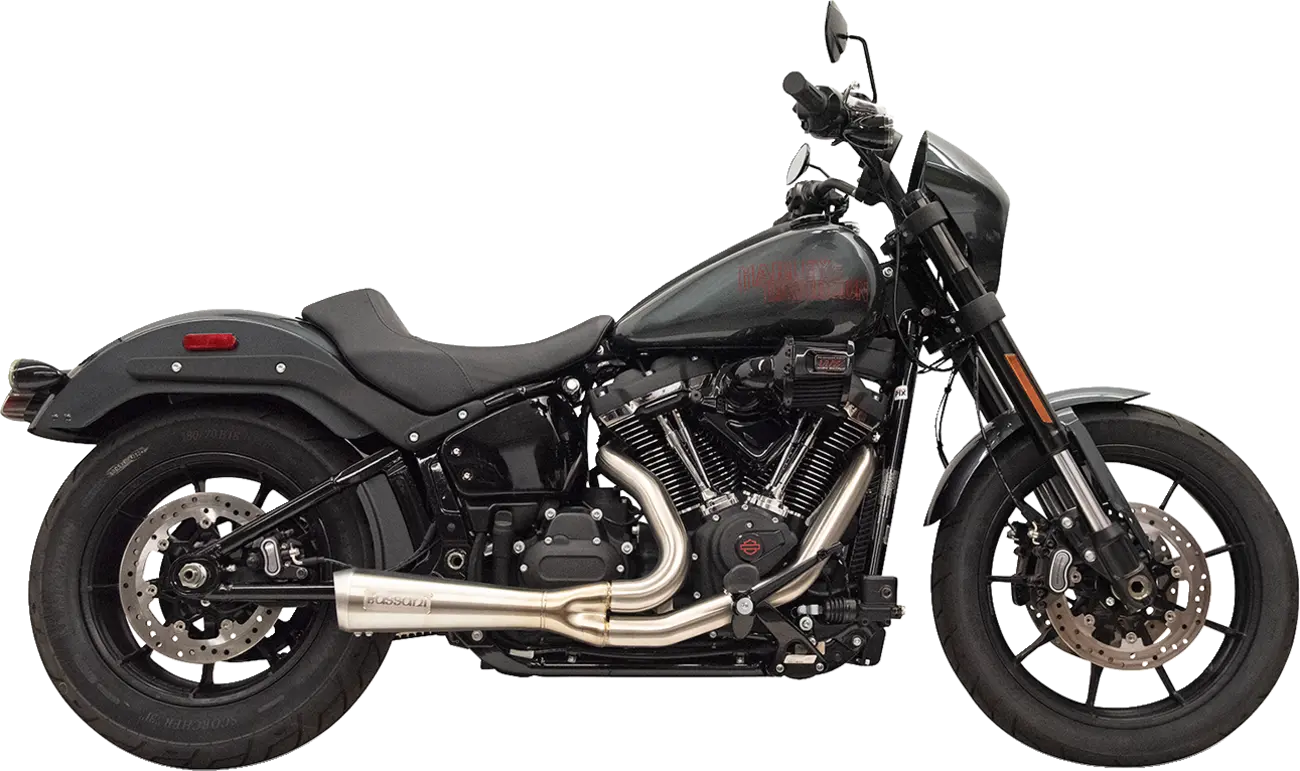 Bassani Xhaust The Ripper 2-i-1 Avgassystem för Softail
