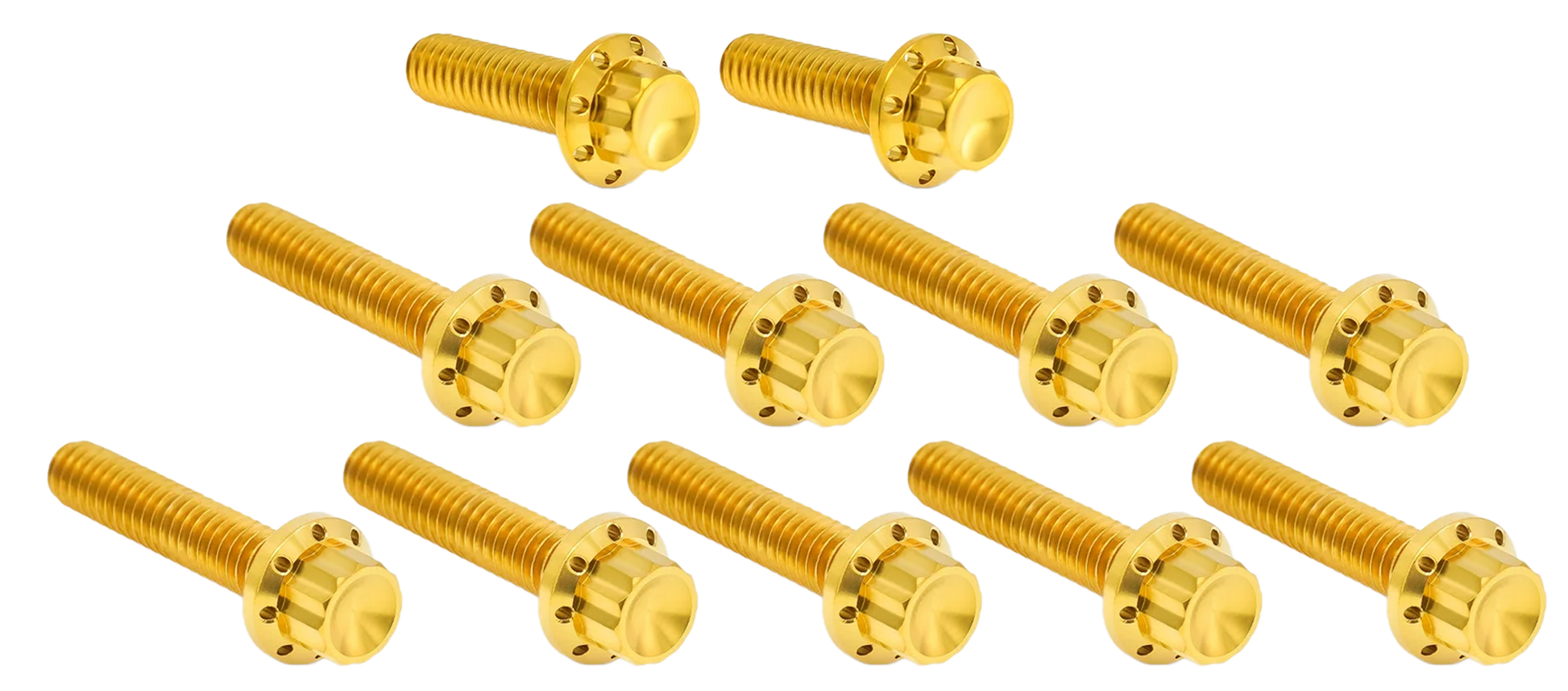 Arlen Ness Cam & Point Cover Titanium 12-POINT Bolt Kits – Hardware