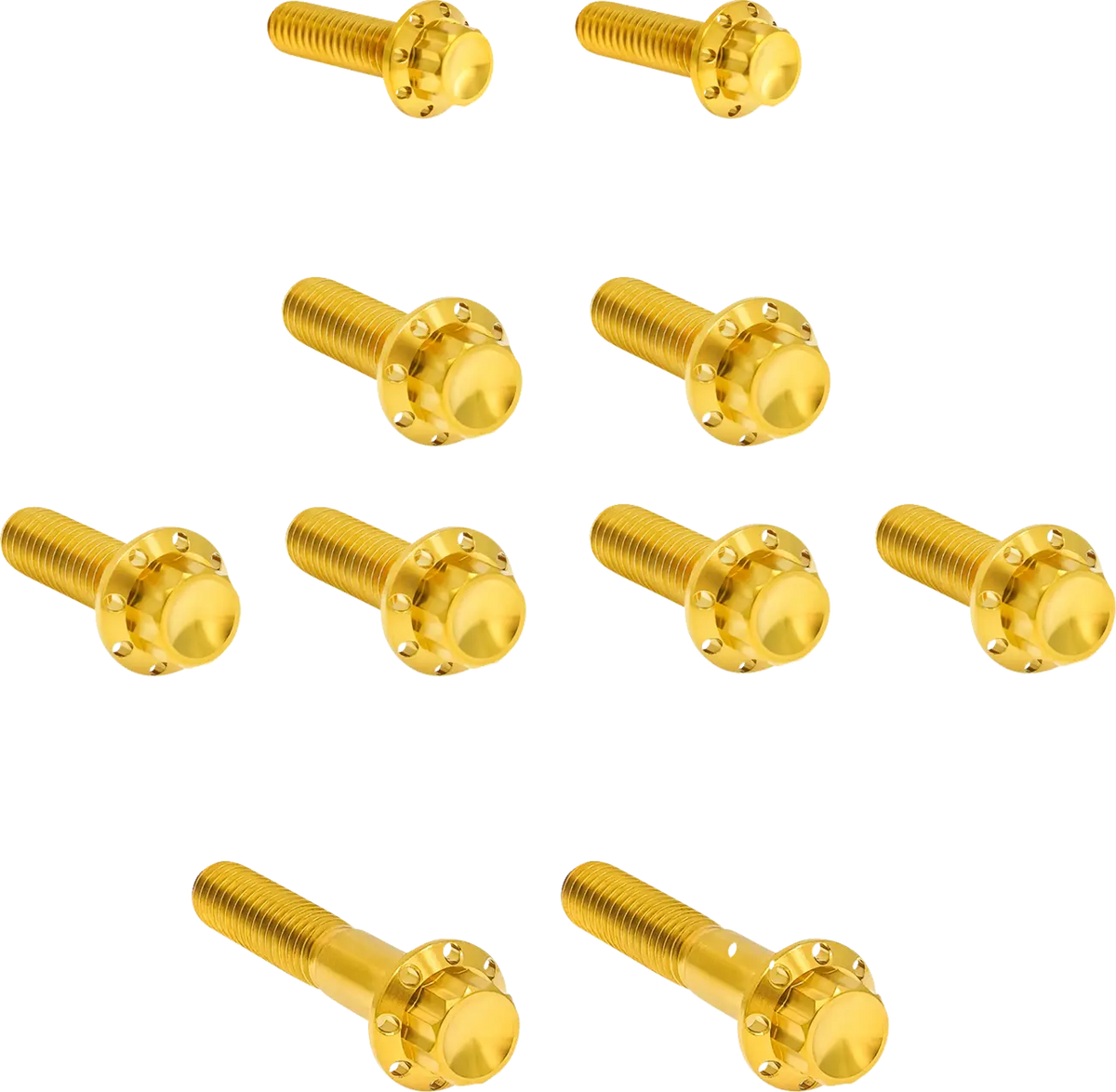 Arlen Ness Titanium 12-Point Bolt Kit Gold for Twin Cam 2007-2017