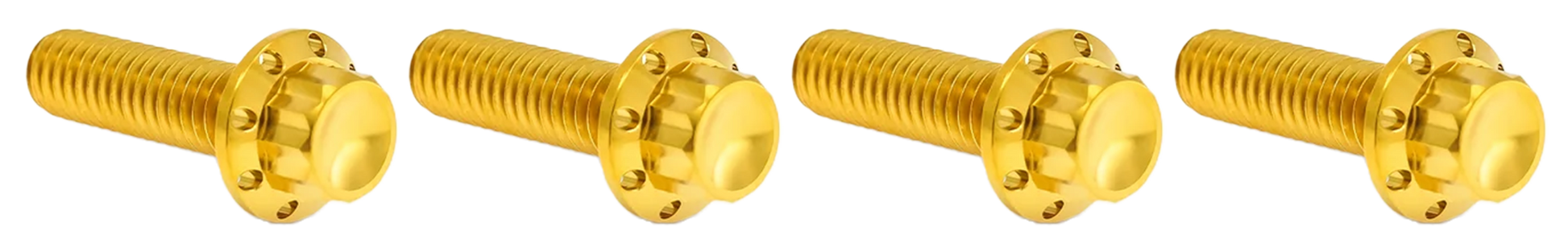 Arlen Ness Brake and Perch Titanium 12-POINT Bolt Kits – Hardware