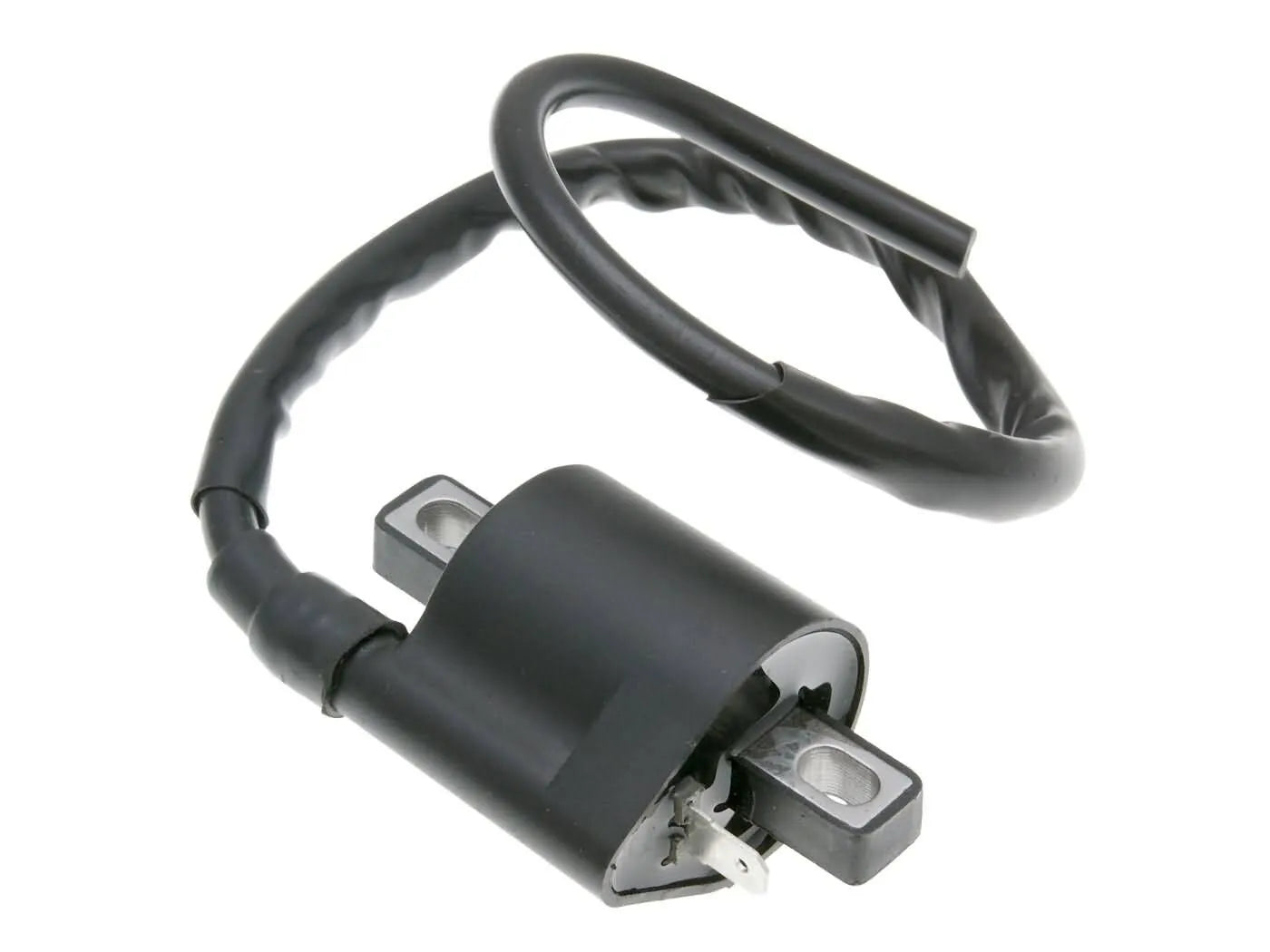 101 Octane Ignition Coil