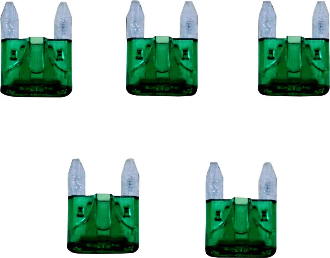 Namz 30-amp Agu Replacement Fuses