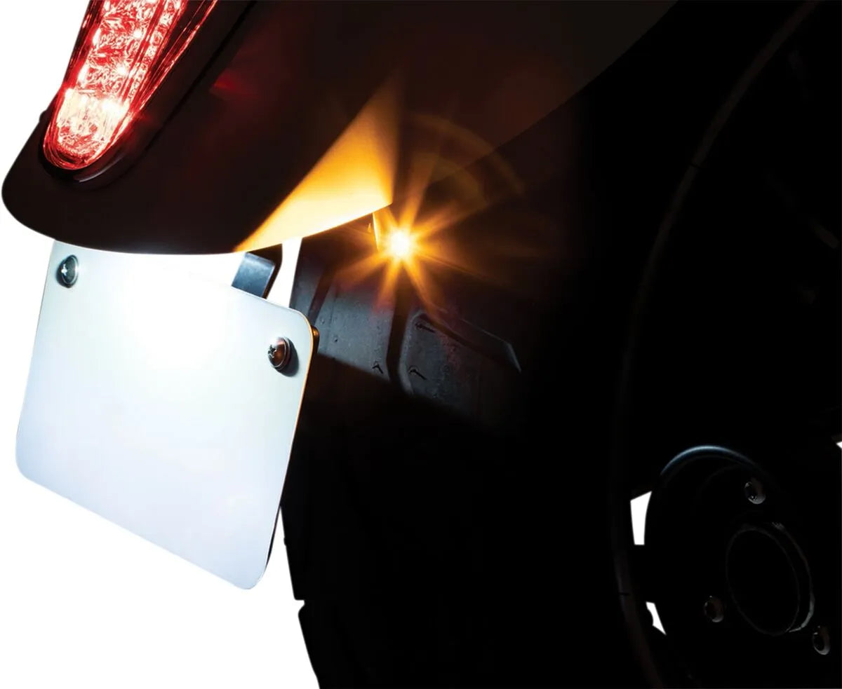 Kuryakyn Rear Turn Signal & License Plate Mount