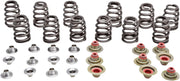 Kibblewhite Beehive Valve Spring Kit