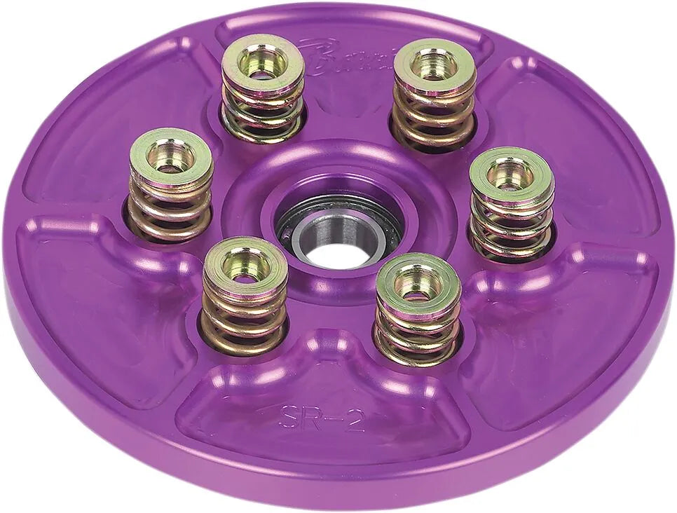 Barnett Clutch Spring Kit