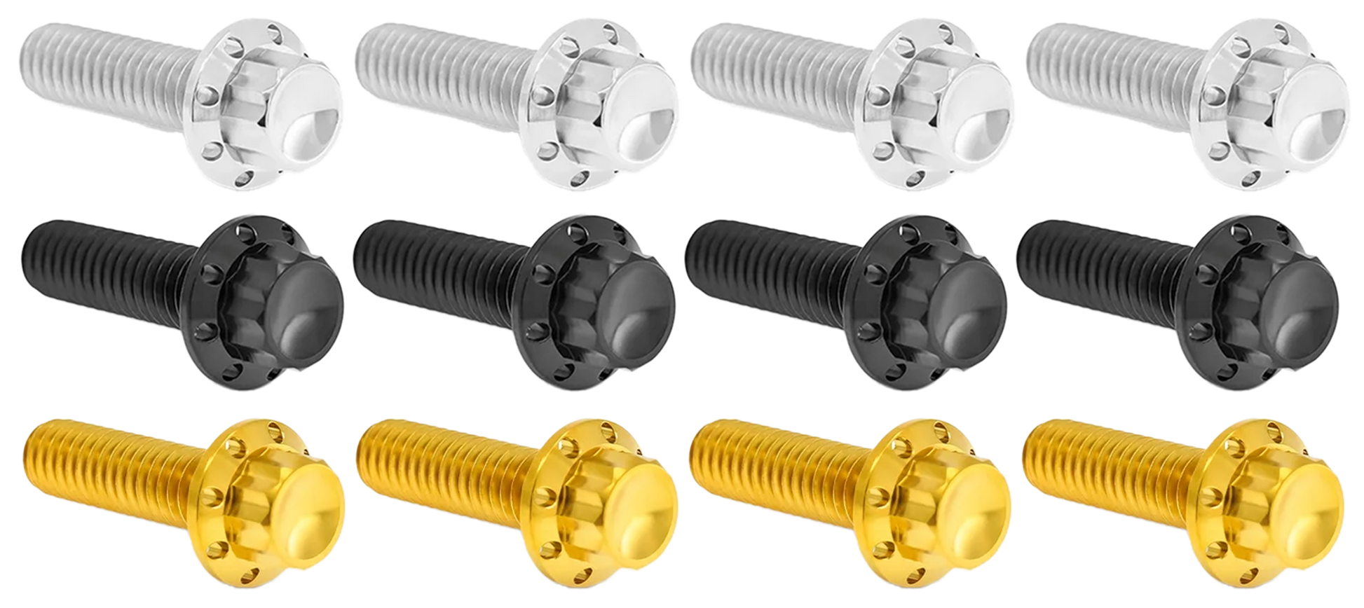 Arlen Ness Brake and Perch Titanium 12-POINT Bolt Kits – Hardware
