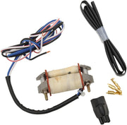 Rick's Motorsport Electric Stator Rebuild Kit For Kawasaki