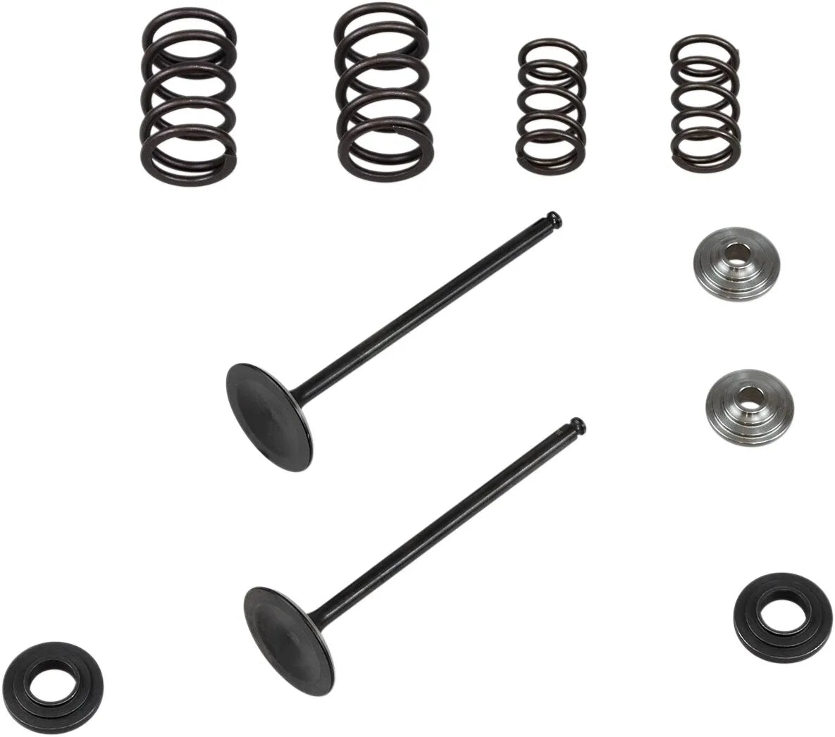 Kibblewhite Stainless Conversion Valve And Spring Kit
