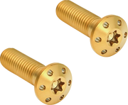 Arlen Ness Brake Caliper Mounting Bolts 10mm