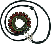 Rick's Motorsport Electric Stator For Suzuki