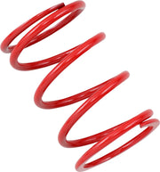 Epi Primary Clutch Spring