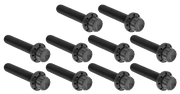 Arlen Ness Cam & Point Cover Titanium 12-POINT Bolt Kits – Hardware