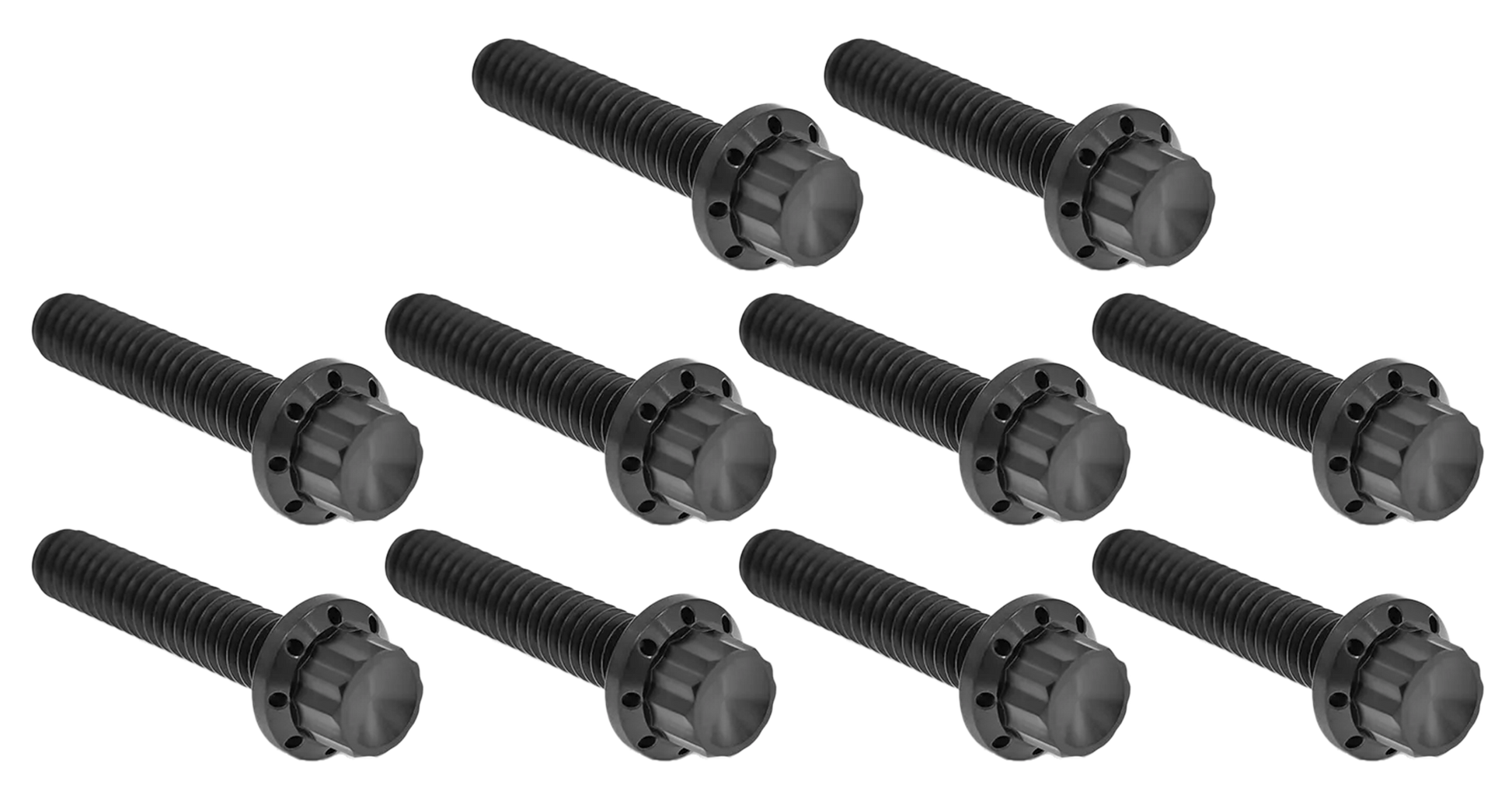 Arlen Ness Cam & Point Cover Titanium 12-POINT Bolt Kits – Hardware