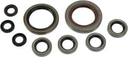 Moose Offroad Hard-Parts Engine Oil Seal Set