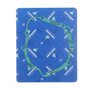 Centauro Ignition Gasket