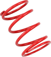 Epi Primary Clutch Spring