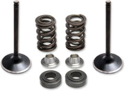 Kibblewhite Stainless Steel Intake Valve And Spring Kit