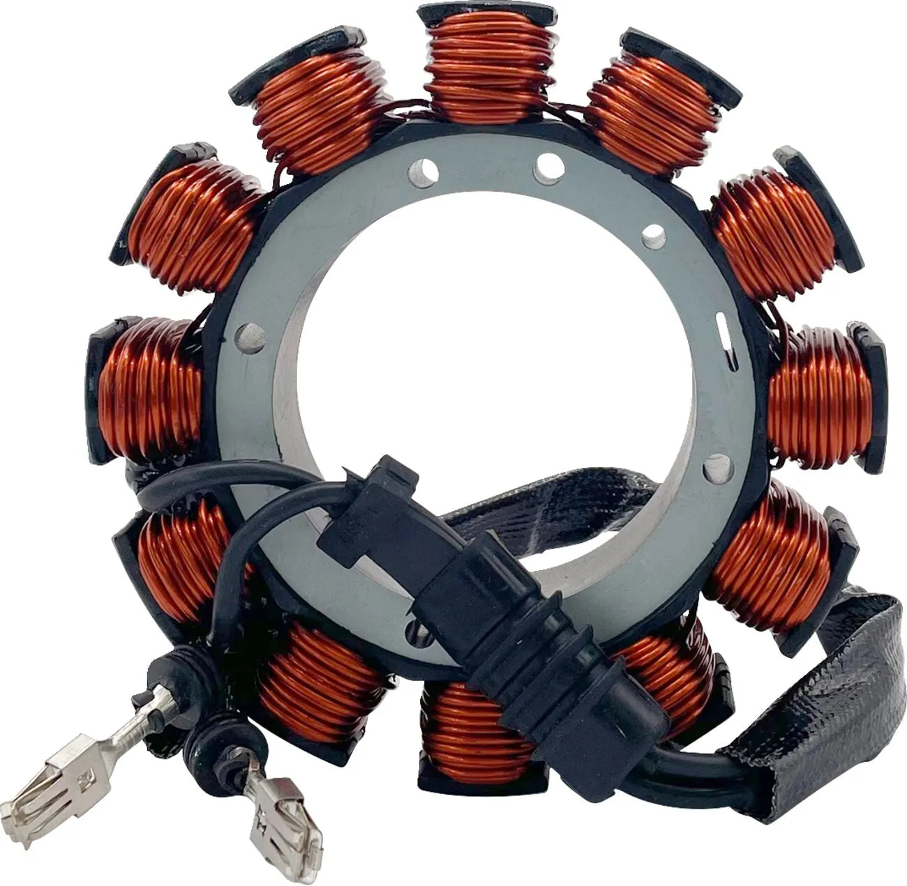 Rick's Motorsport Electric Stator