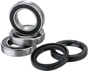 FACTORY LINKS Rear Wheel Bearing Kit