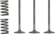 Prox Valve And Spring Kit - Steel, Nitrided Valves