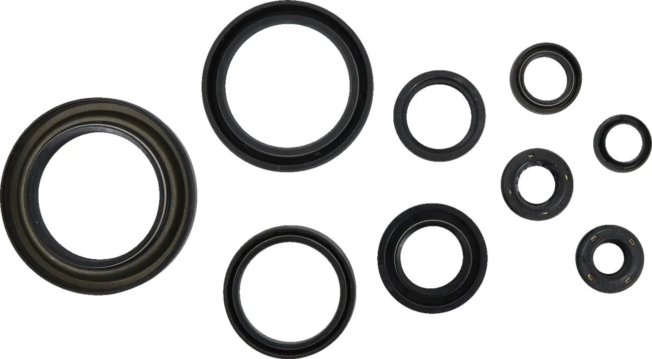 Cometic Oil Seal Kit