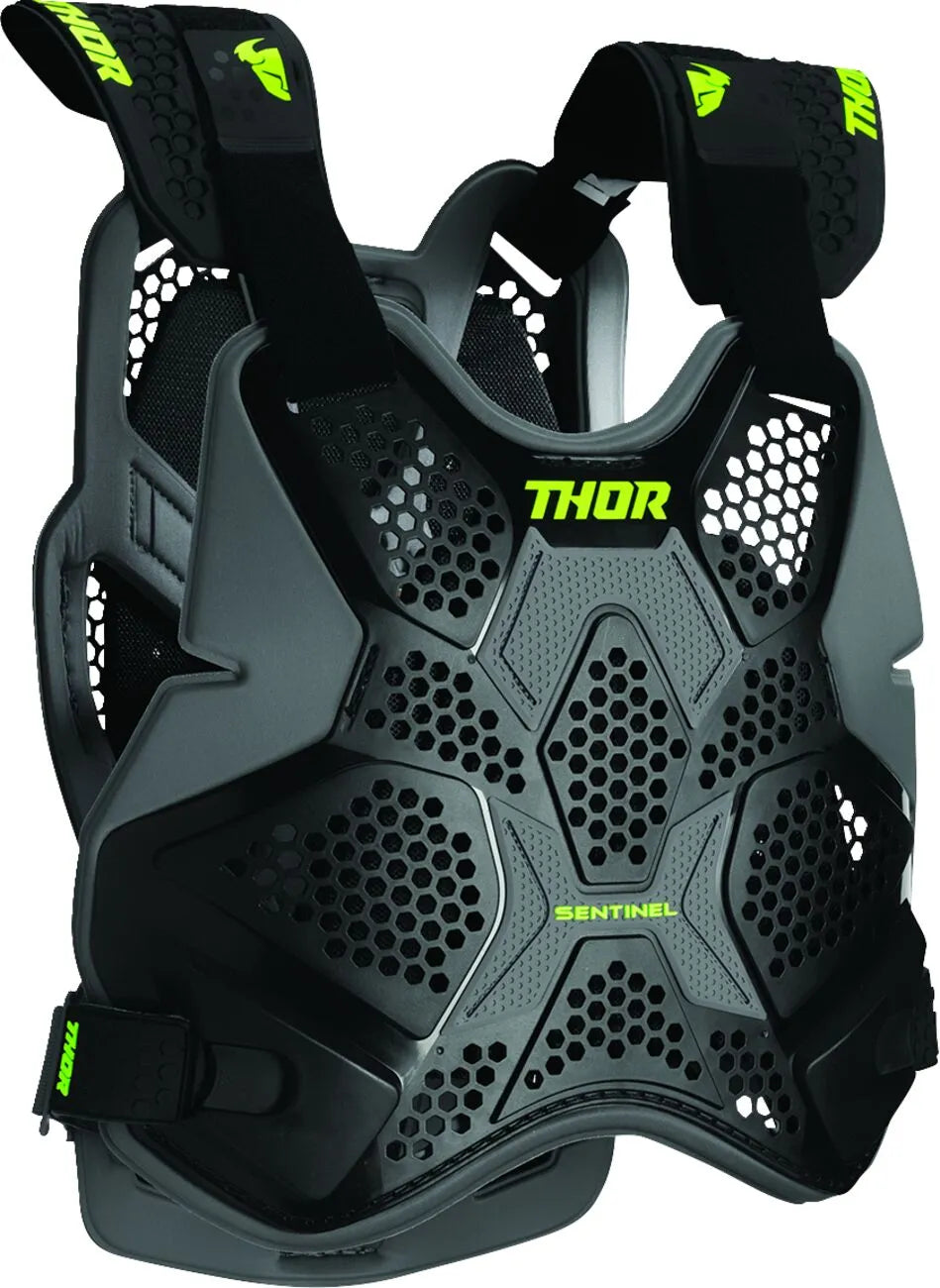 Thor Sentinel Pro Roost Guard Black