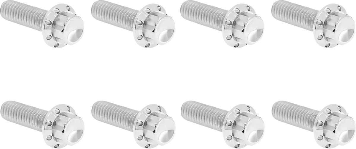 Arlen Ness M8 Titanium 12-Point Trap Door Bolt Kit Polished Twin