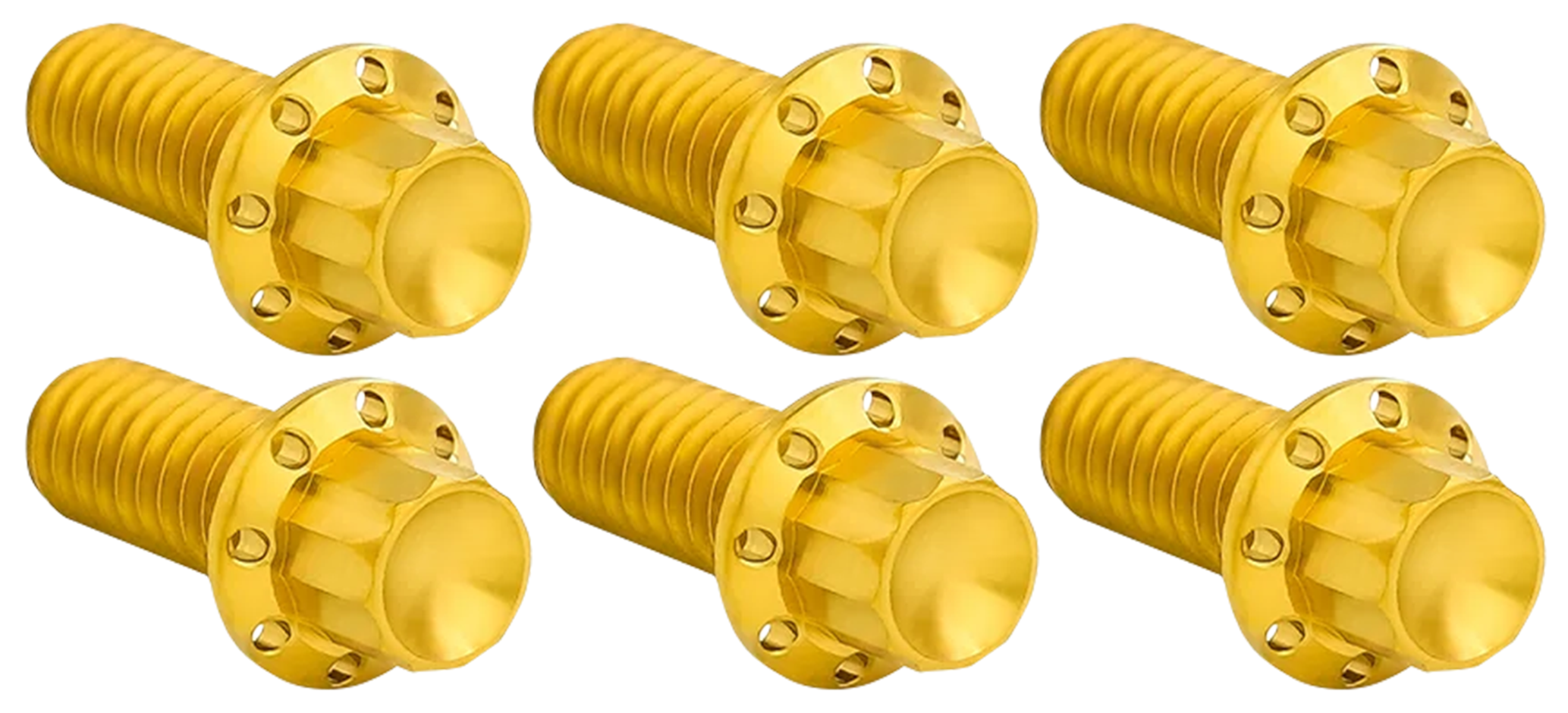 Arlen Ness Derby Cover Titanium 12-POINT Bolt Kits – Hardware